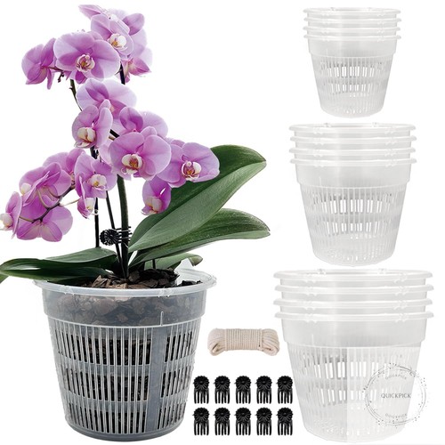 Orchid pot pack - 12,