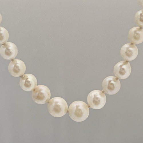 Saltwater pearl necklace 10k - saltwater,