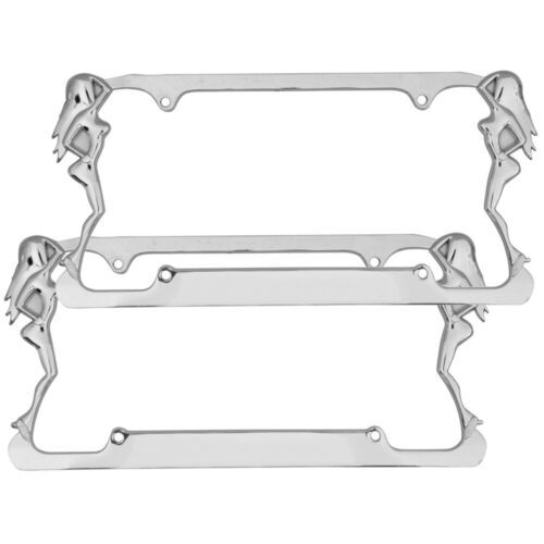 Beautiful lady license - 2x,