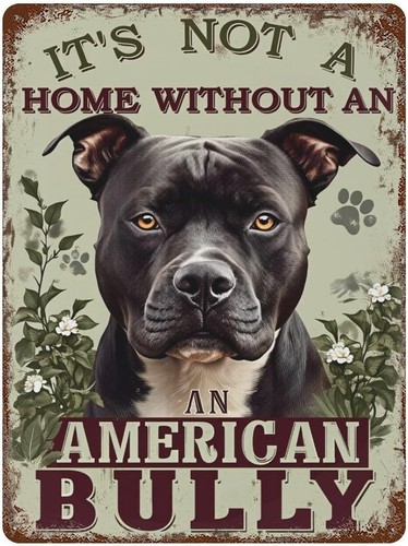 American bully dog portrait - american,