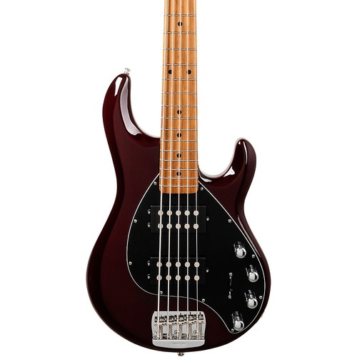 Ernie ball music - man, stingray