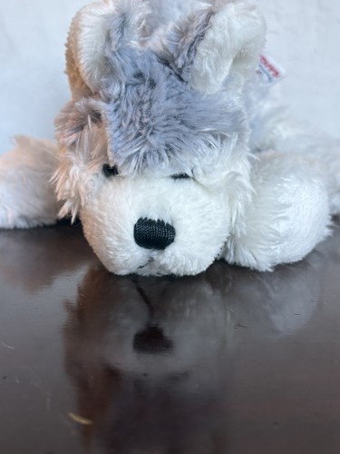 Webkinz husky hm120 retired - webkinz, no