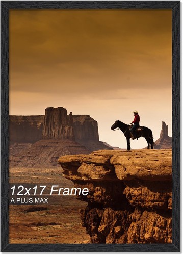 12x17 picture frame - 12x17, black