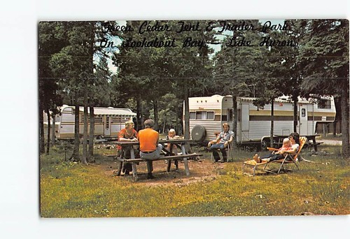 Postcard green cedar tent - green, &