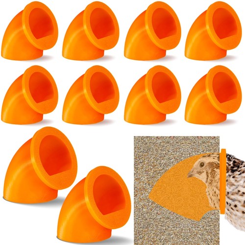 Teenyyou pack quail - 20,