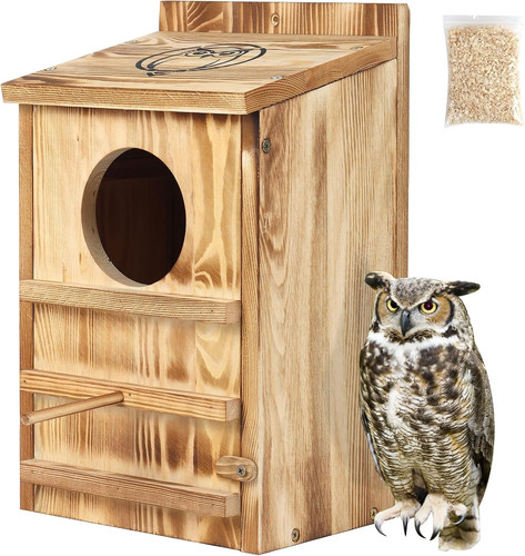 Owl house for - owl, outdoors,