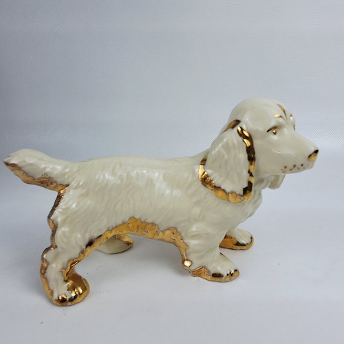 Spaniel dog puppy creamy - spaniel,