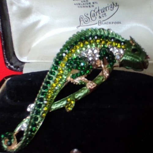 Large green chameleon - green, lizard
