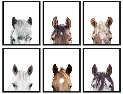 Zaiphany horse wall art - horse,