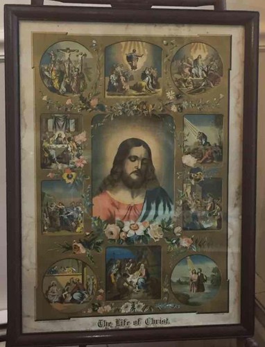 Antique 1881 print the life - antique,