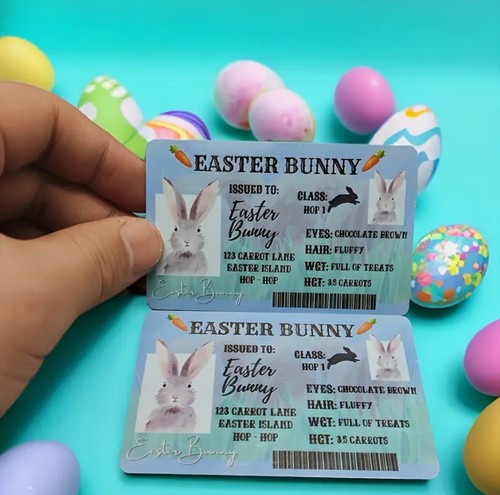 Easter bunny drivers license - easter,