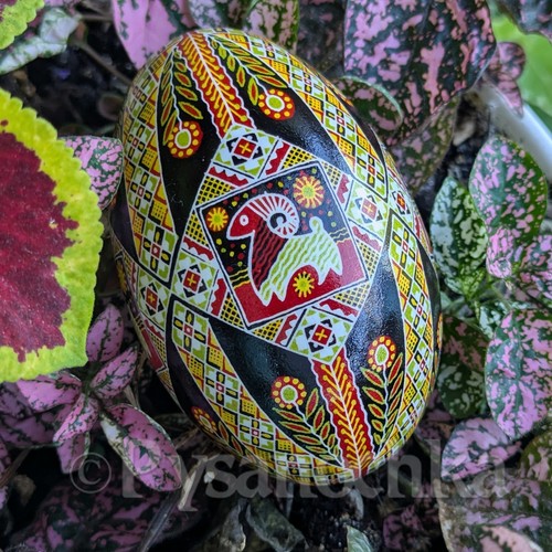 Real ukrainian pysanka goose - real,