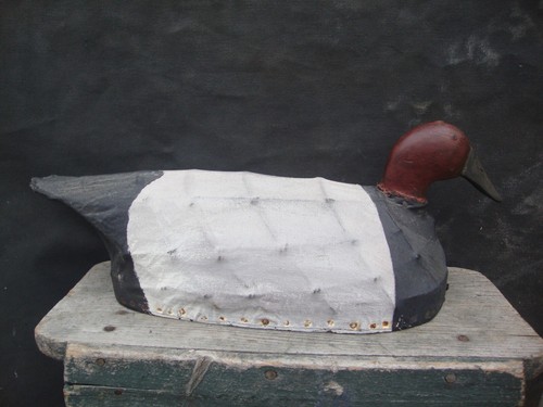 Old canvasback canvas duck - canvasback,