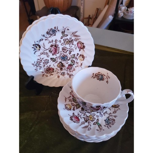 Staffordshire bouquet johnson - staffordshire,