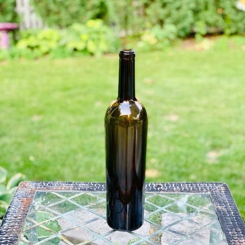 Empty wine bottles - empty, without