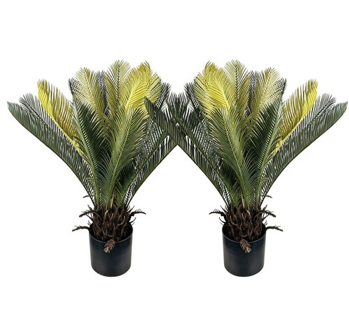 Pack 2ft artificial sago - 2,