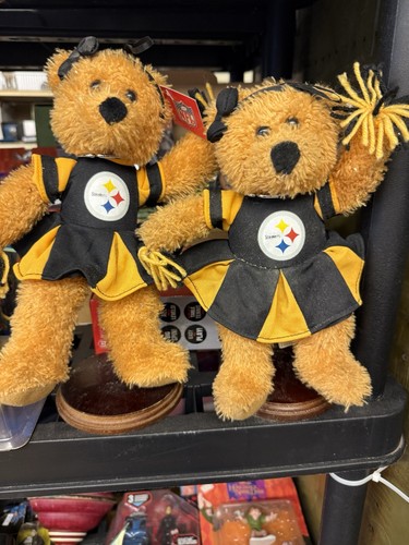Pittsburgh steelers nfl - pittsburgh,