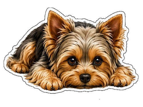Yorkie dog decal sticker car - dog,