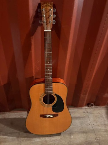 Sigma guitars martin - sigma, dm1