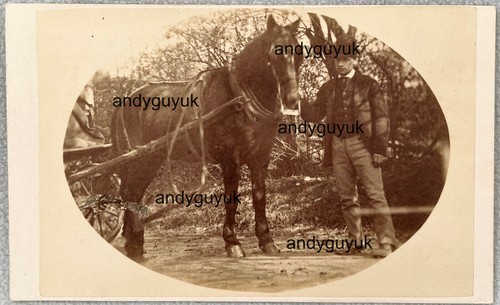 Cdv rare newick funnell man - rare, by