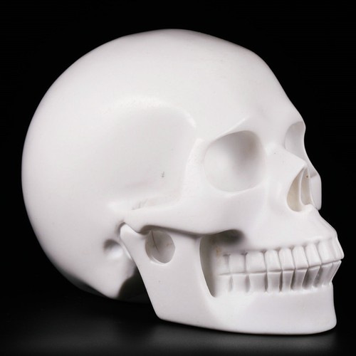 Huge howlite carved - 5.0",
