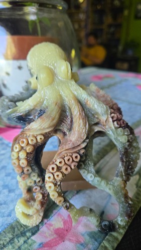 Carved octopus amazon - carved,