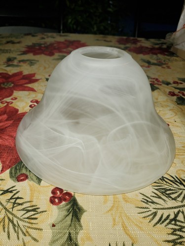 Frosted glass lamp shade - frosted,