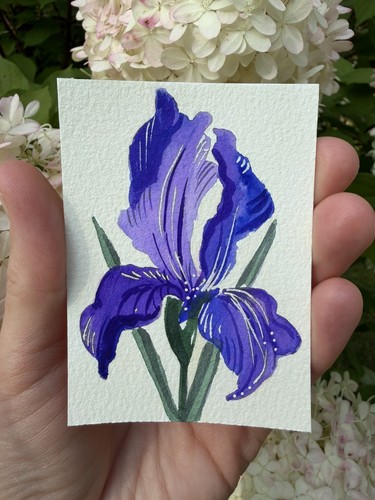 Aceo original iris - original, flower