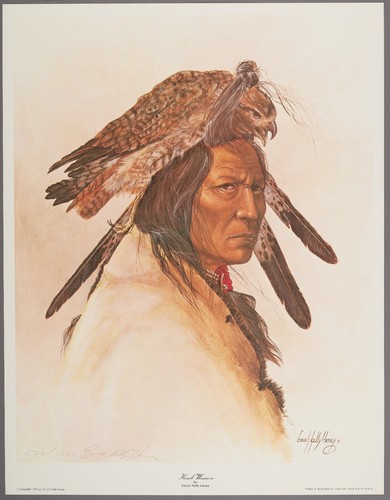 Lithograph hawkwarrior - lithograph, by