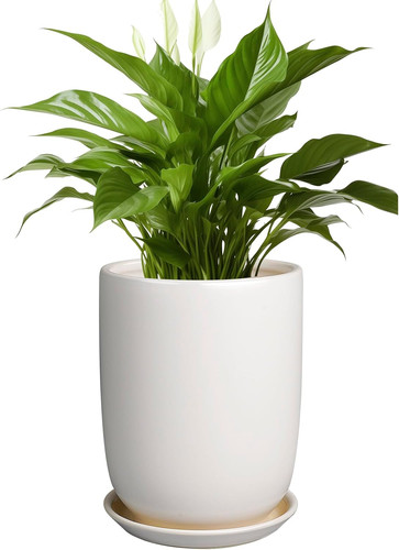 Plant pot inch - inch, ceramic