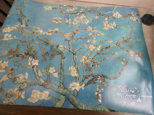 The van gogh immersive - van,