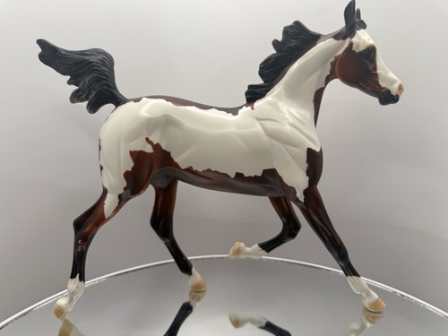 Peter stone arabian yearling - arabian,