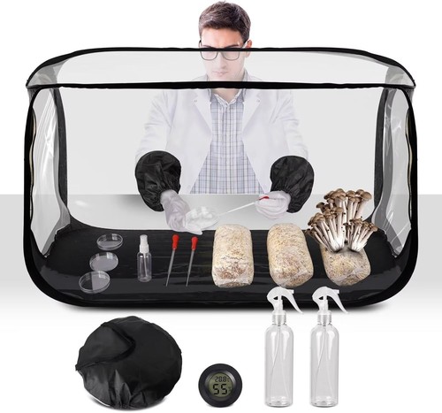 Large still air box mushroom - air,