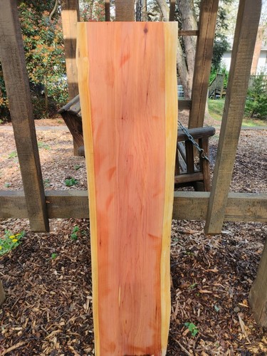 Cedar slab live - cedar, slab)