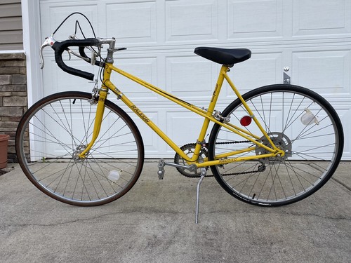 Vintage 1975 raleigh record - raleigh,