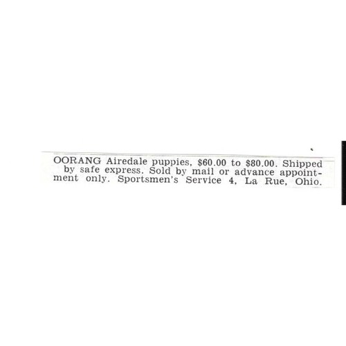 Sportsmen service oorang - service,