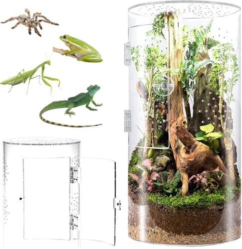 Front opening terrarium - front,