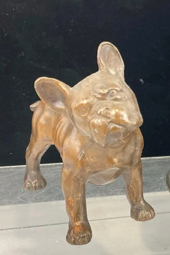 Antique bronze french bull dog - bronze,