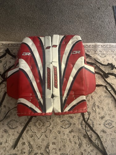 Brian custom sport - brian’s, sonic