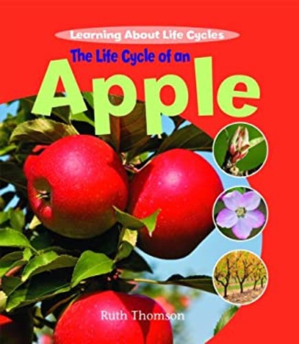The life cycle - the, of