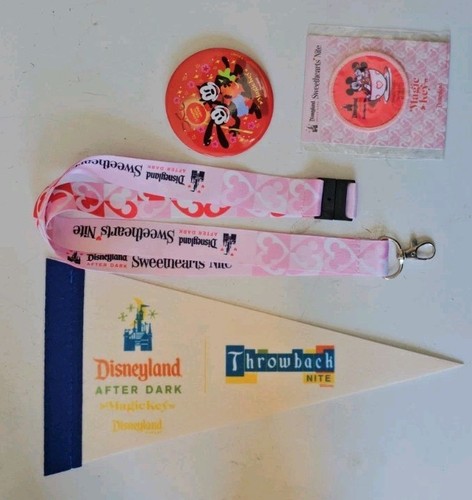 Disneyland after dark - after,