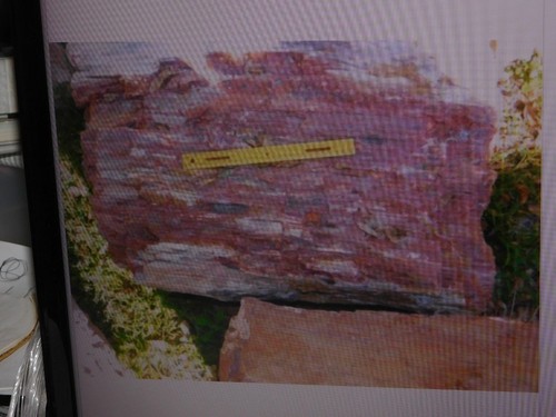 Petrified wood log 500 - 500, lbs