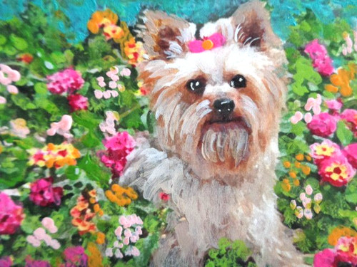 Aceo adorable yorkie - aceo,