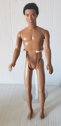 Black african american ken - african,