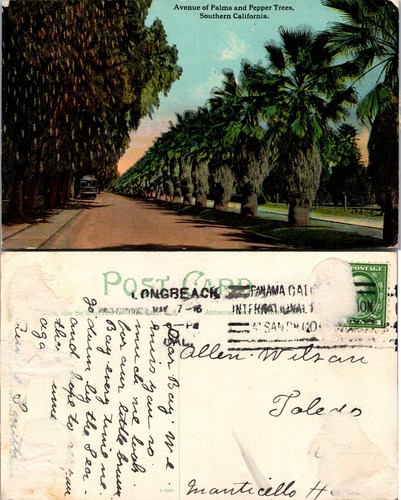 Avenue palms and pepper - avenue,
