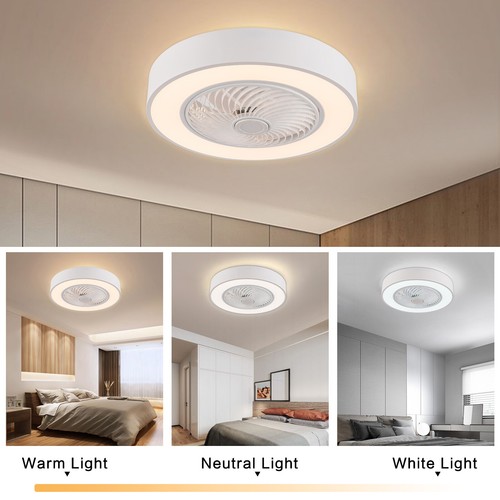 Modern led ceiling fan - ceiling,