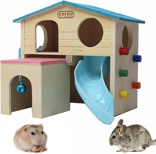 Hamster house pets - hamster, small