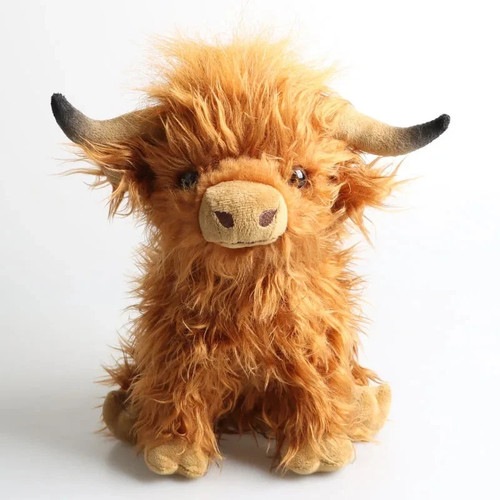 New cute highland - 28, cow