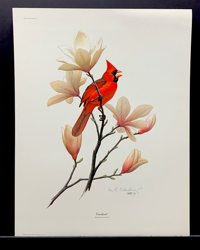 Don richard eckelberry limited - eckelberry,