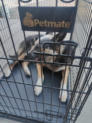 Petmate folding dog - folding,